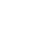 icon-introduction (1)